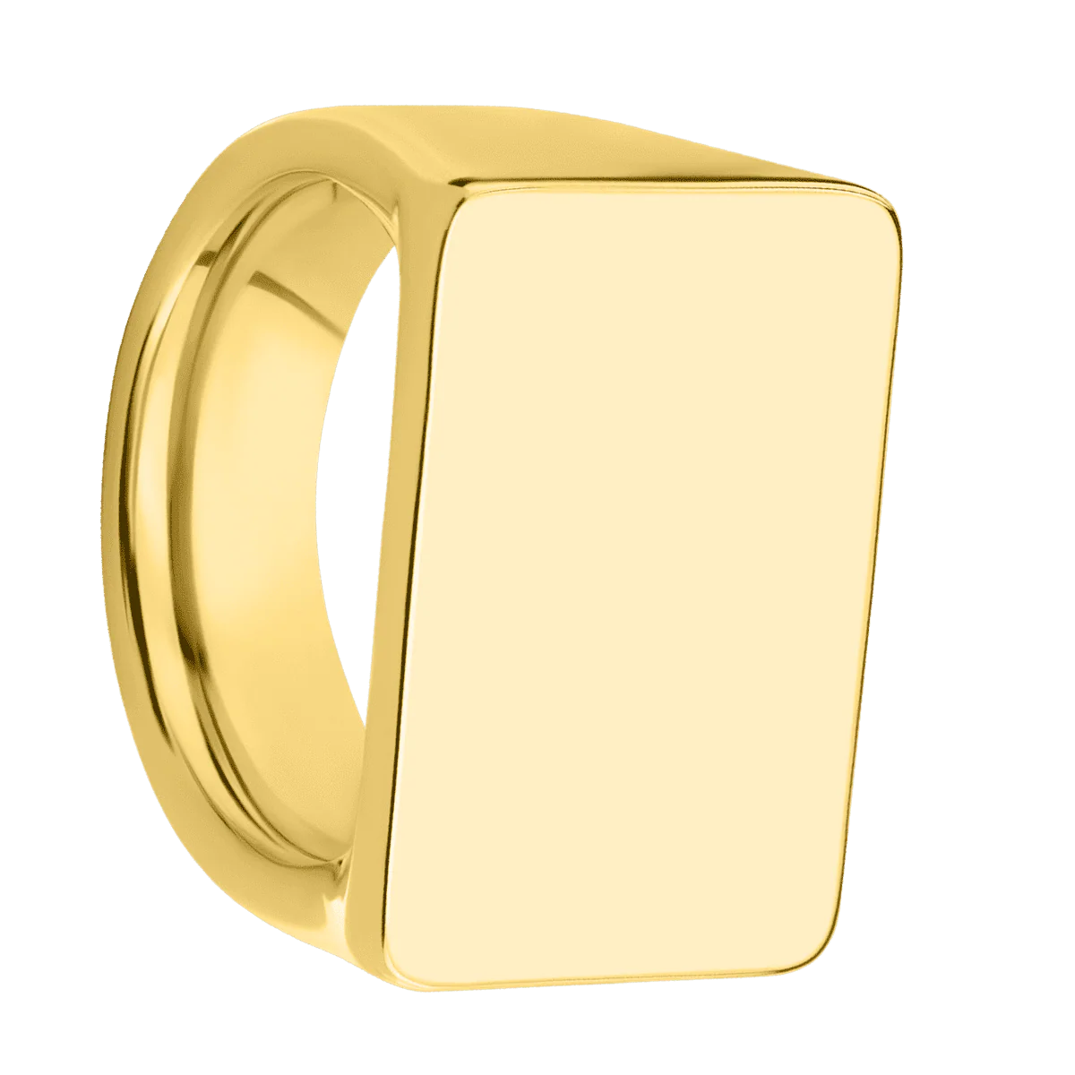Extra Large Horizontal Rectangle signet ring  in 10K Yellow Gold, with a Wide style band.
