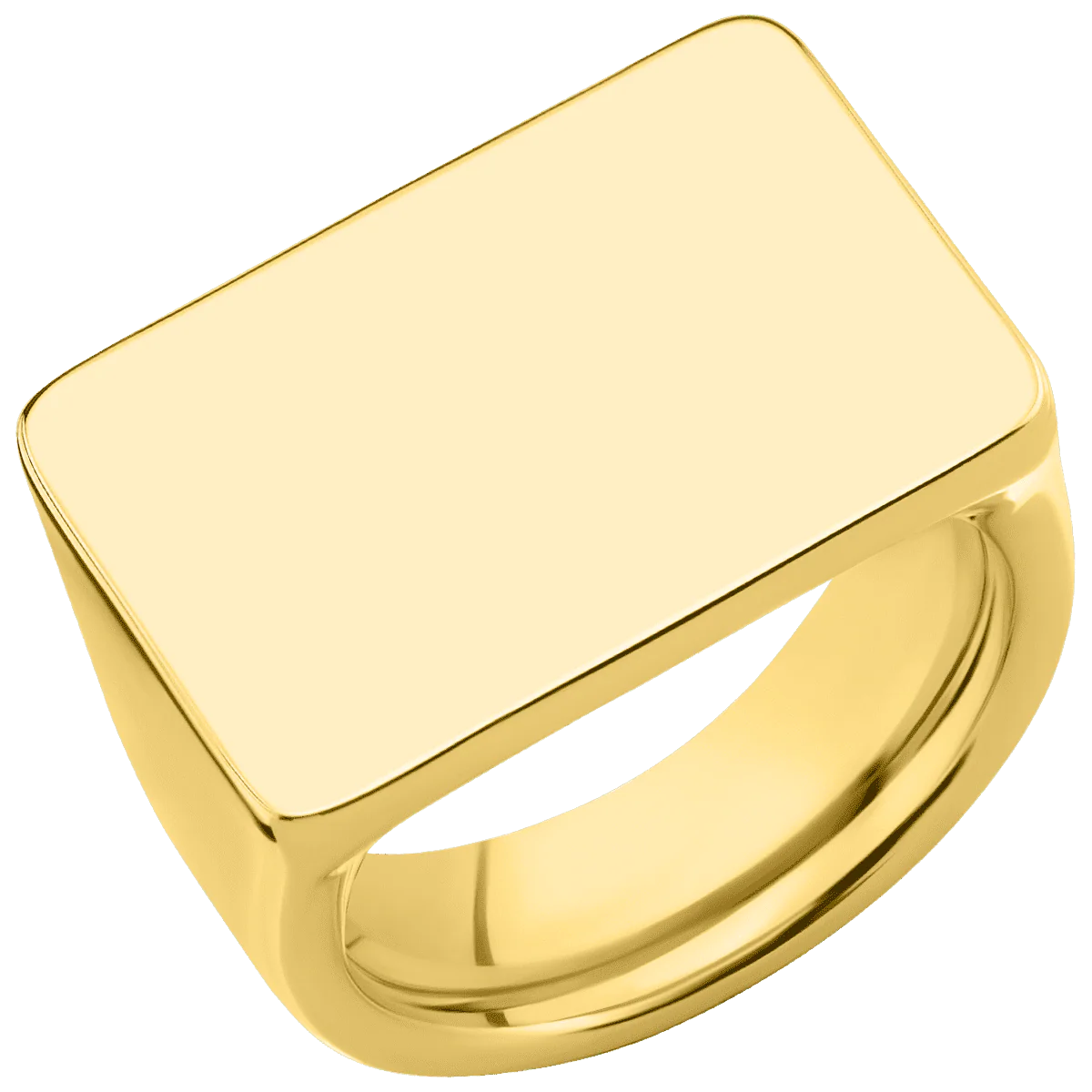 Extra Large Horizontal Rectangle signet ring  in 10K Yellow Gold, with a Wide style band. - Image 2