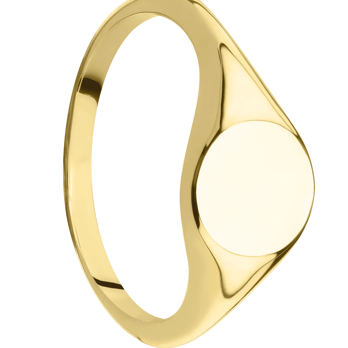 Small Circle signet ring (10mm) in 10K Yellow Gold, with a Thin style band.